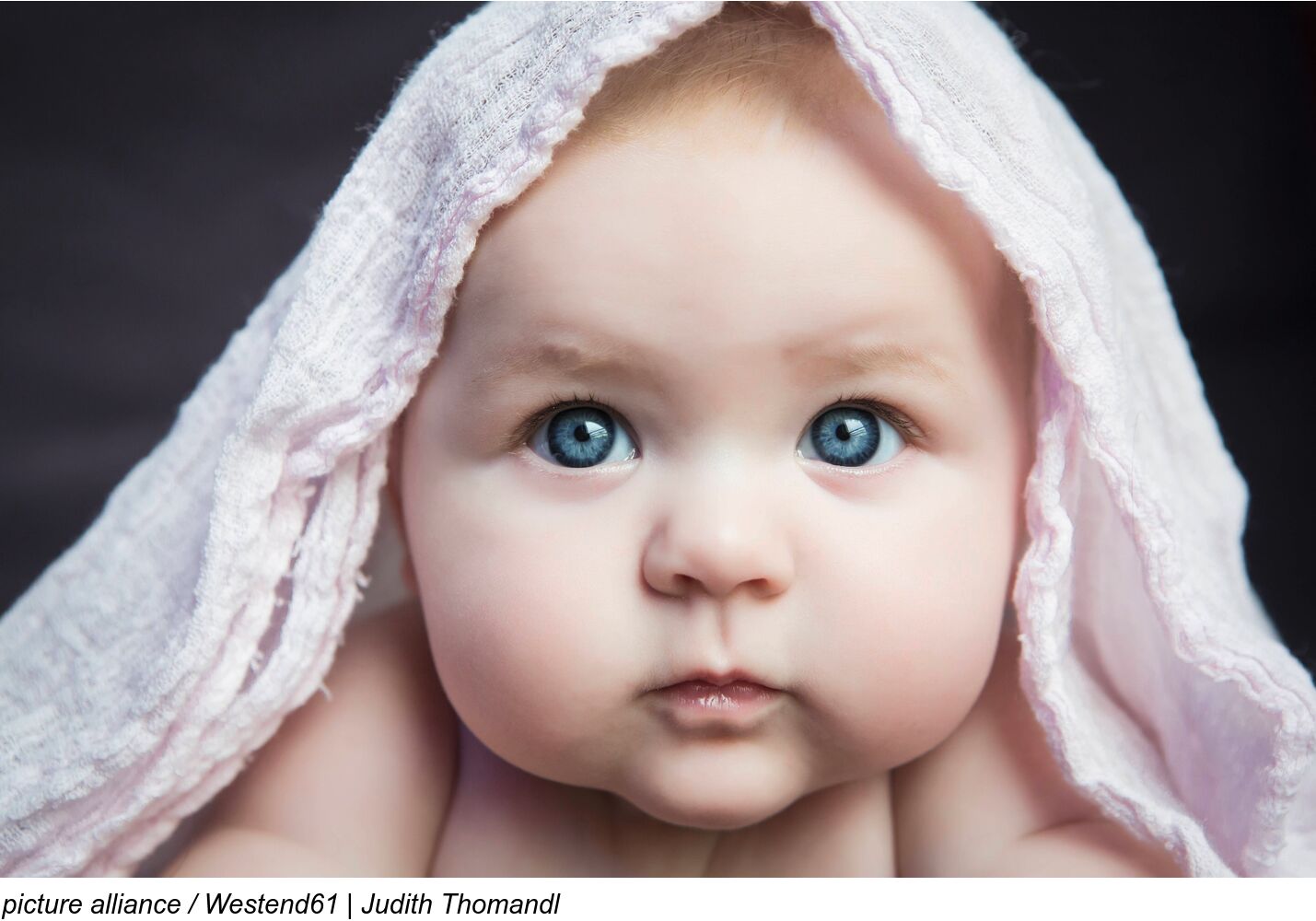 2025-4Adv-A-001co Weihnachtsimpulsbild (c) Picture alliance / Westend61/ Judith Thomandl 2025-4Adv-A-001co Weihnachtsimpulsbild